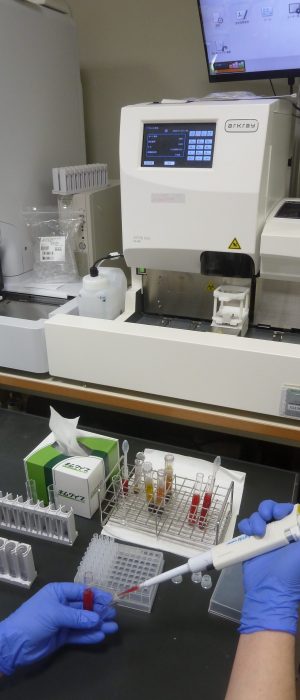 Laboratory_Department01